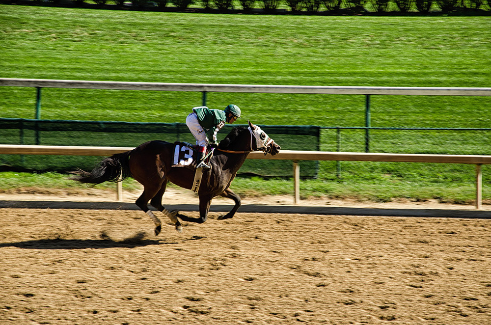 Kentucky Derby Traditions The History, the Hats, the Roses and More