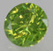 Image 2 Image 2