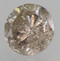 Image 2 Image 2