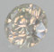 Image 2 Image 2