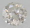 Image 3 Image 3