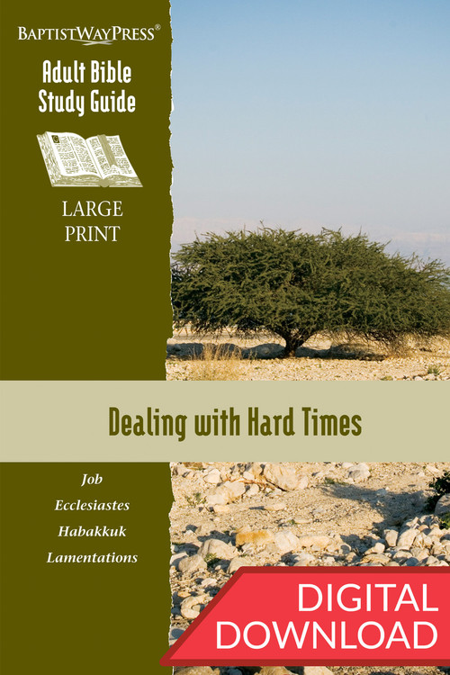 Digital large print Bible study of Job, Ecclesiastes, Habakkuk, and Lamentations. 13 lessons; PDF; 229 pages.