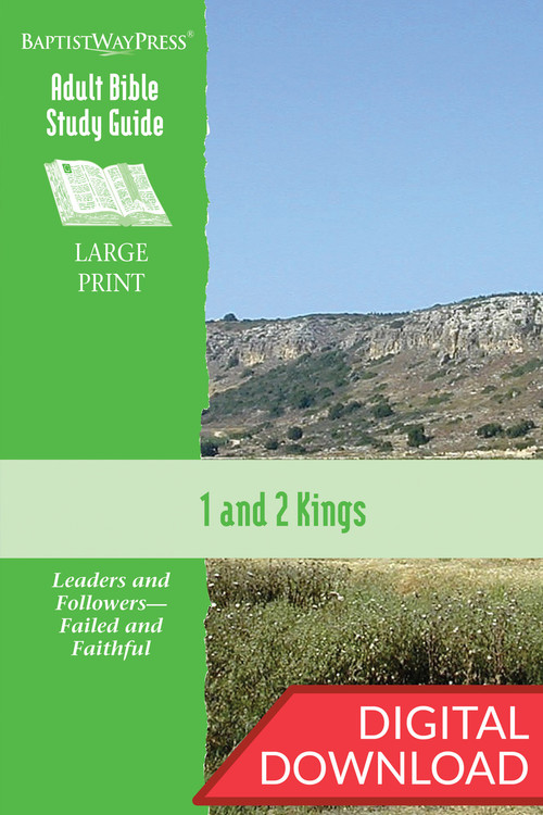 Digital Bible study on 1 & 2 Kings. 13 lessons; PDF; 254 pages.