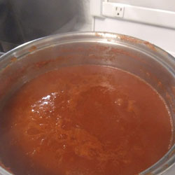 Kimberly's Blendtec Designer 625 Blender Recipe for Homemade Tomato Sauce Using Plum Tomatoes