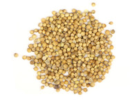 Coriander Seed (Organic) - 1 oz.