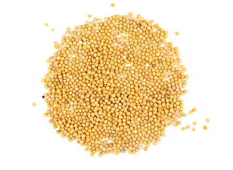 The Mustard Seeds ☆III 089836001641-frontier-co-op-