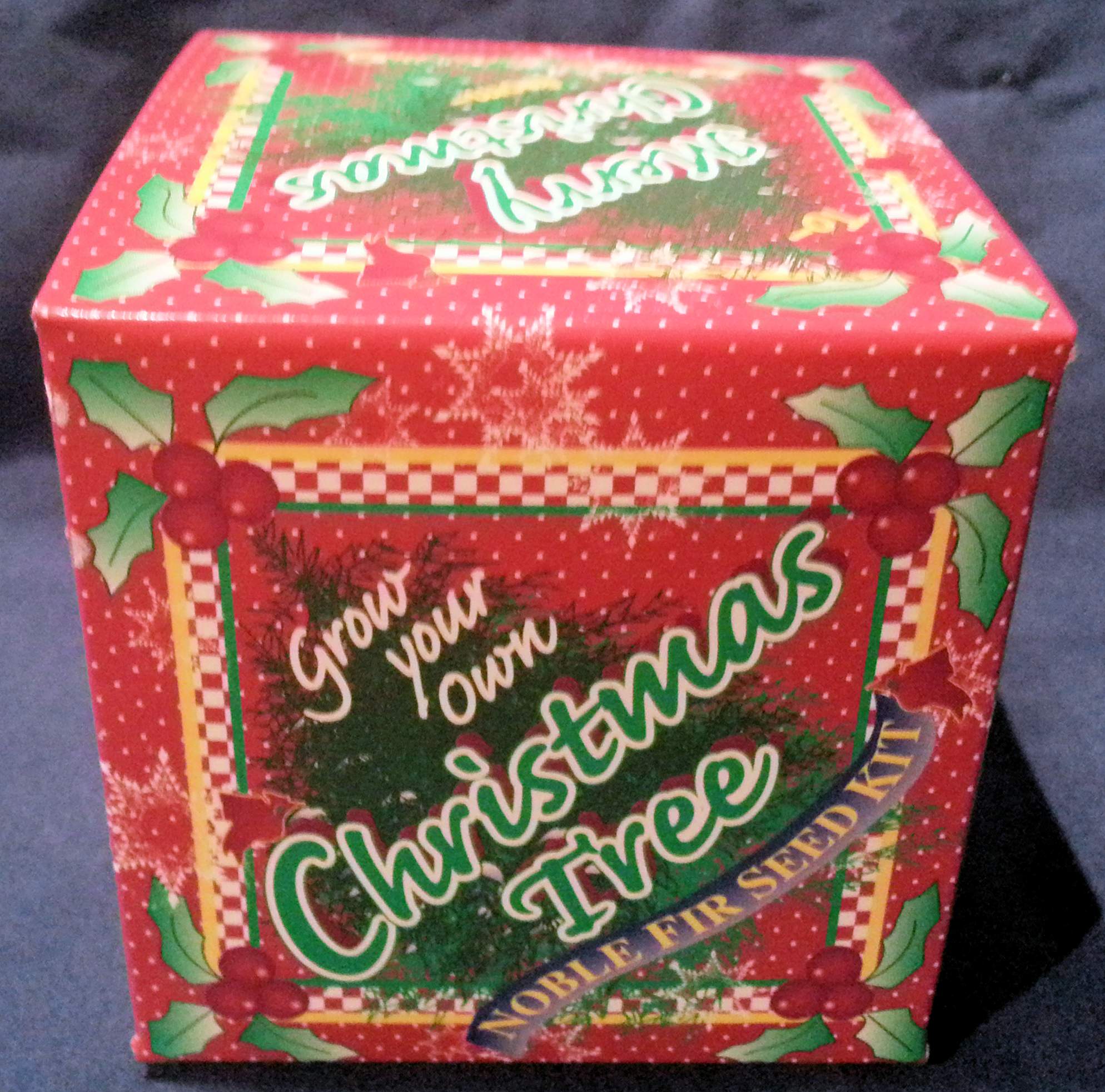 Red original Grow Your Own Christmas Tree Kit
