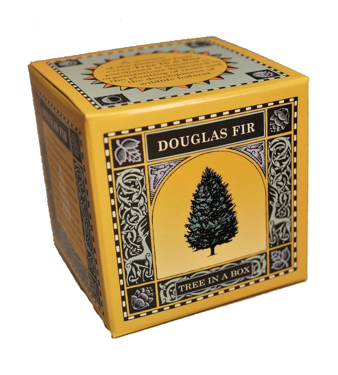 Tree In A Box Tree In A Box