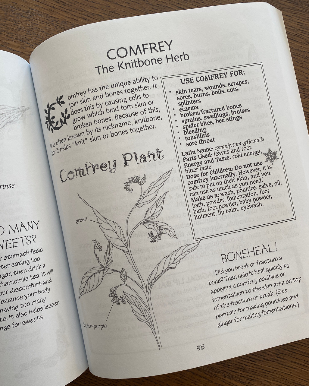 A Kid's Herb Book For Children of All Ages by Lesley Tierra Botanica