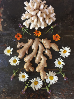 Ginger Tincture 