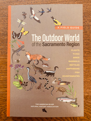 The Outdoor World of the Sacramento Region