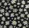 This fabric will be made with black skirt and leggings. 