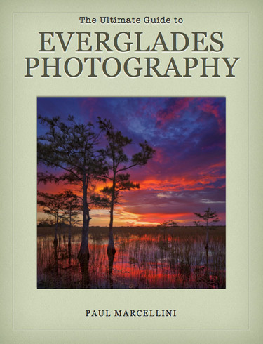 The Ultimate Guide to Everglades Photography eBook by Paul Marcellini