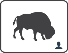 Image keywording, hierarchical keywords, and vocabulary lists for 4,950 species of mammals (English only)