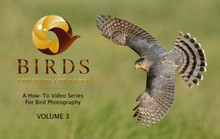 Birds Through the Lens - How-To Video Series for Bird Photography, Volume 3
