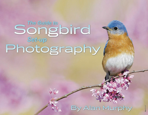 Alan Murphy's "Guide to Songbird Set-up Photography" - eBook