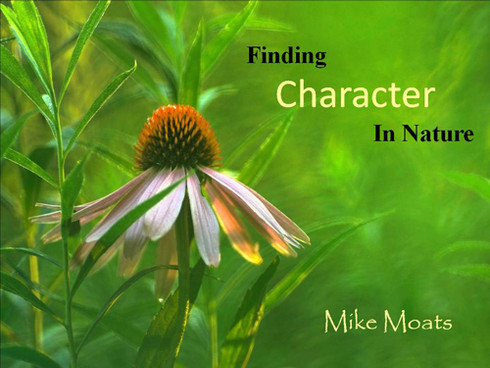 Finding Character In Nature eBook by Mike Moats