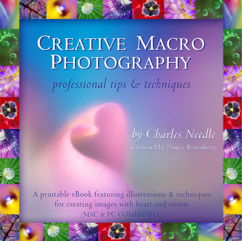 Creative Macro Photography eBook by Charles Needle