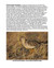 Sample Page: Buff-breasted Sandpiper