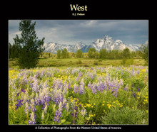 West eBook by E.J. Peiker