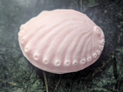 Abalone Seashell Soap