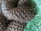 Pine Cone Soap (SEA-PCN) Close up