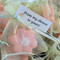 Daisy Closeup- Pink Small Favors for weddings, baby showers, bridal showers, or spring accent in your bath.