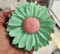 Gerber Daisy-green petals w/pink center