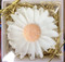 Gerber Daisy white in gift box
