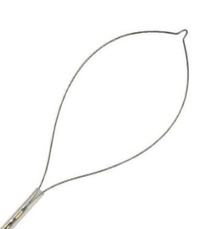 CS50032, Micro-Tech Endoscopy Snare Oval 10mm Disposable 100/Ca, Micro-Tech Endoscopy Usa