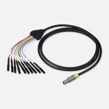 M0045454S0 - Boston Scientific, Cable Maintenance and Sterilization 10-pole male Quick Connect to 10 pins 2mm, Box of 1