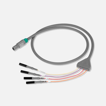 M004653S0 - Boston Scientific, Maestro 4000™ Cable – Filter Module or Pod to Recorder (2 required), Box of 1