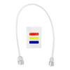 90701062 - MEDLINE INDUSTRIES LP Namic® Adult Pressure Monitoring Tubing with Fixed Male to Female Luer Lock, 6" L, Box of 25 90701062 - MEDLINE INDUSTRIES LP Namic® Adult Pressure Monitoring Tubing with Fixed Male to Female Luer Lock, 6" L, Box of 25