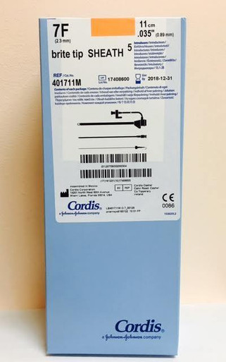 401-711M BRITE TIP Catheter Sheath Introducer with Mini-Guidewire, Fuschia, 0.035IN, 11CM Cannula, 7FR  401711M 