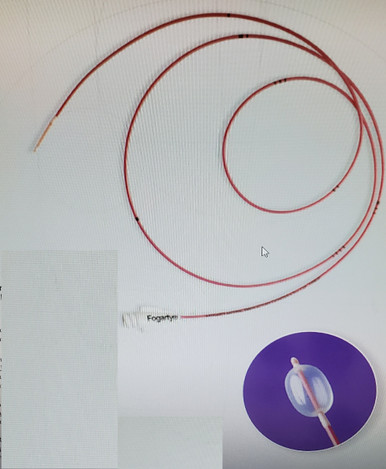   Edwards Lifesciences, 12TLW406F, Fogarty Over-the-wire thru-lumen embolectomy catheter 40 cm 6Fr, price of each 