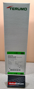Terumo 30-1065 GLIDESHEATH™ Access Kit, 6F, ID 0.087", Tip ID 0.082", 10cm, GW 0.025"x45cm , 20Ga Needle. Includes GlideSheath, IV Cath, Dilator, 2.5mL Syringe, Box of 5