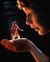 Hal Scardino in The Indian in the Cupboard Poster and Photo