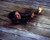 Robin Williams in Jumanji Poster and Photo