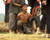Haing S. Ngor in The Killing Fields Poster and Photo
