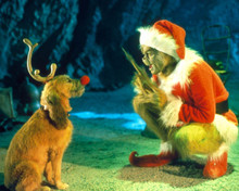 Jim Carrey in Dr. Seuss' How the Grinch Stole Christmas akaThe Grinch aka How the Grinch Stole Christmas Poster and Photo