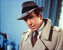 Robert Sacchi in The Man with Bogart's Face Poster and Photo