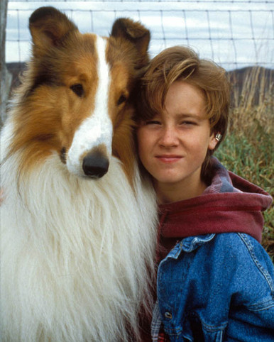 Tom Guiry & Lassie in Lassie Poster and Photo