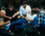 Robert Duvall & Gary Busey in Let's Get Harry Poster and Photo