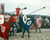 Lionheart Photograph and Poster - 1008333 Poster and Photo