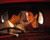 John Turturro & Katherine Borowitz in Mac Poster and Photo