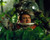 Mel Smith in Morons from Outer Space Poster and Photo