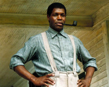 Danny Glover in The Color Purple Poster and Photo