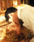 Meryl Streep & Kevin Kline in Sophie's Choice Poster and Photo