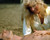 Bo Derek & Miles O'Keeffe in Tarzan the Ape Man (1981) Poster and Photo