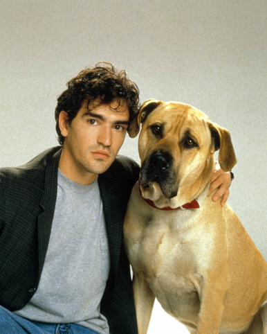 Ben Chaplin in The Truth About Cats and Dogs Poster and Photo